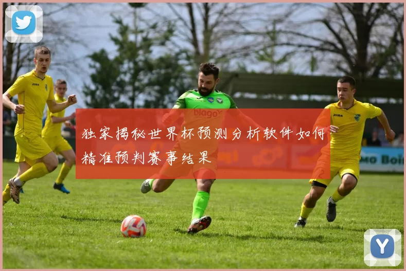 独家揭秘世界杯预测分析软件如何精准预判赛事结果