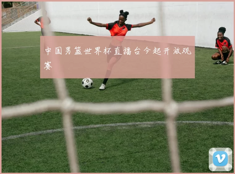 中国男篮世界杯直播台今起开放观赛