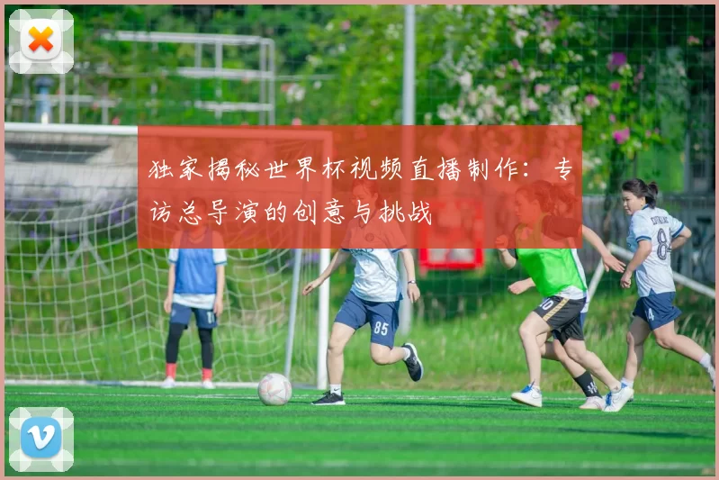 独家揭秘世界杯视频直播制作:专访总导演的创意与挑战
