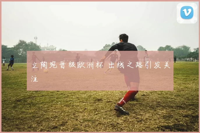 立陶宛晋级欧洲杯 出线之路引发关注