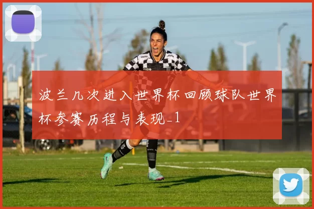 波兰几次进入世界杯回顾球队世界杯参赛历程与表现_1