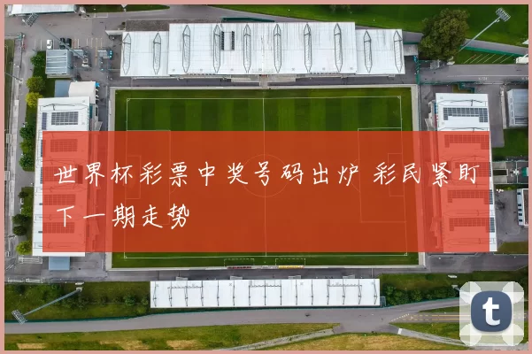 世界杯彩票中奖号码出炉 彩民紧盯下一期走势