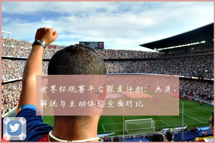 世界杯观赛平台深度评测：画质、解说与互动体验全面对比