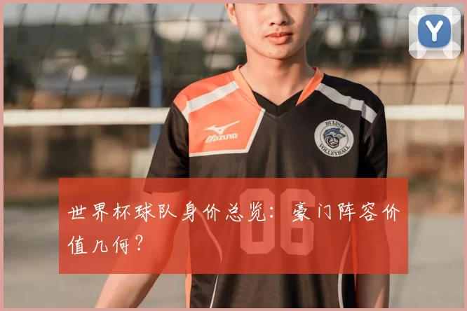 世界杯球队身价总览:豪门阵容价值几何?