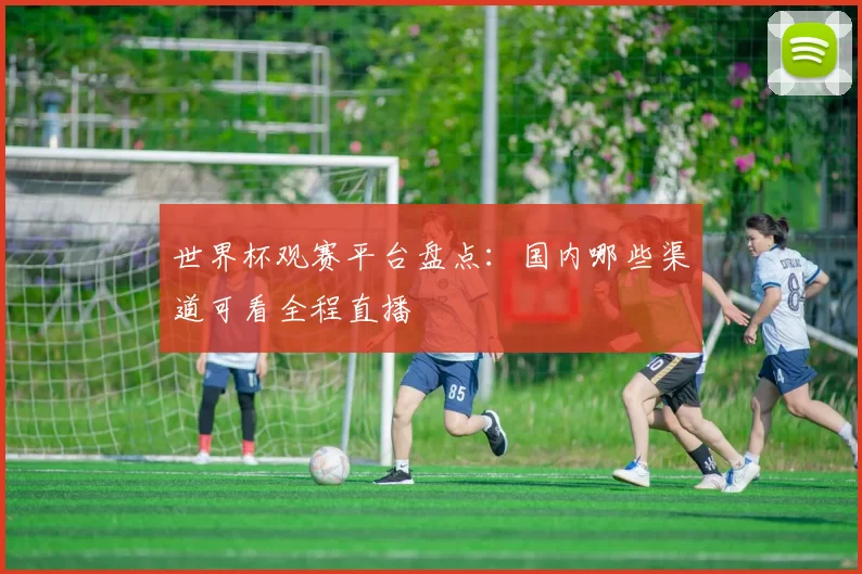 世界杯观赛平台盘点：国内哪些渠道可看全程直播