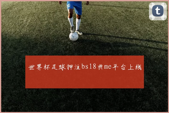 世界杯足球押注bs18典me平台上线