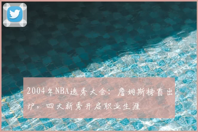 2004年NBA选秀大会：詹姆斯榜首出炉，四大新秀开启职业生涯